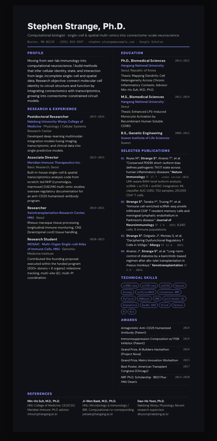 Onyx Soft Bicolumn CV template preview