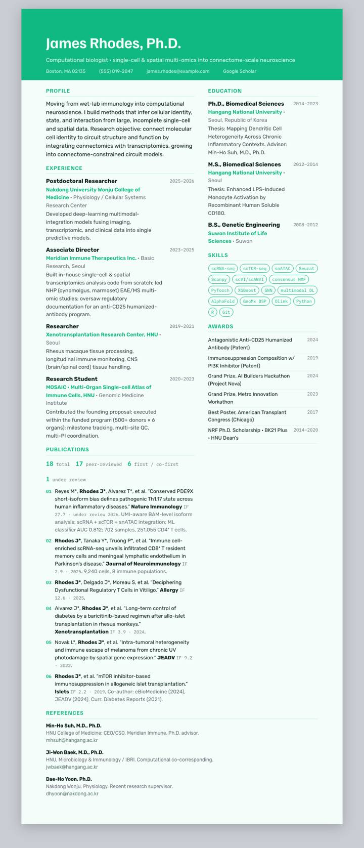 Mint UI Banner CV template preview