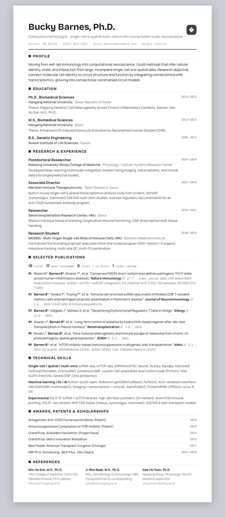 Charcoal Clean Rule CV template preview