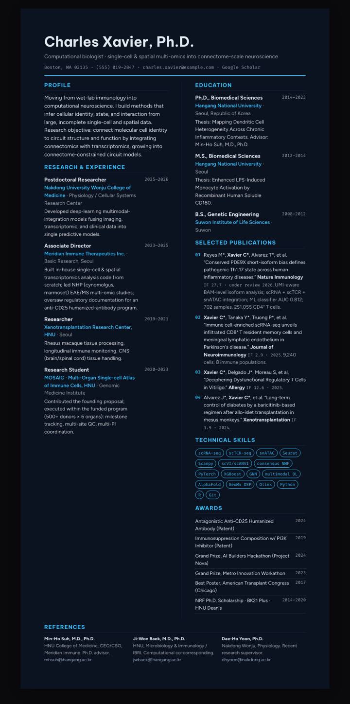 Sky Dark Bicolumn CV template preview