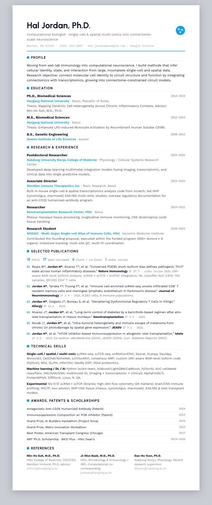 Sky Clean Rule CV template preview