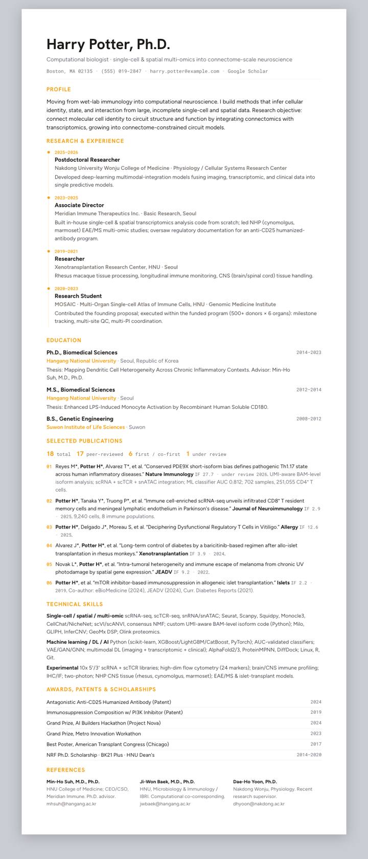 Amber Clean Track CV template preview