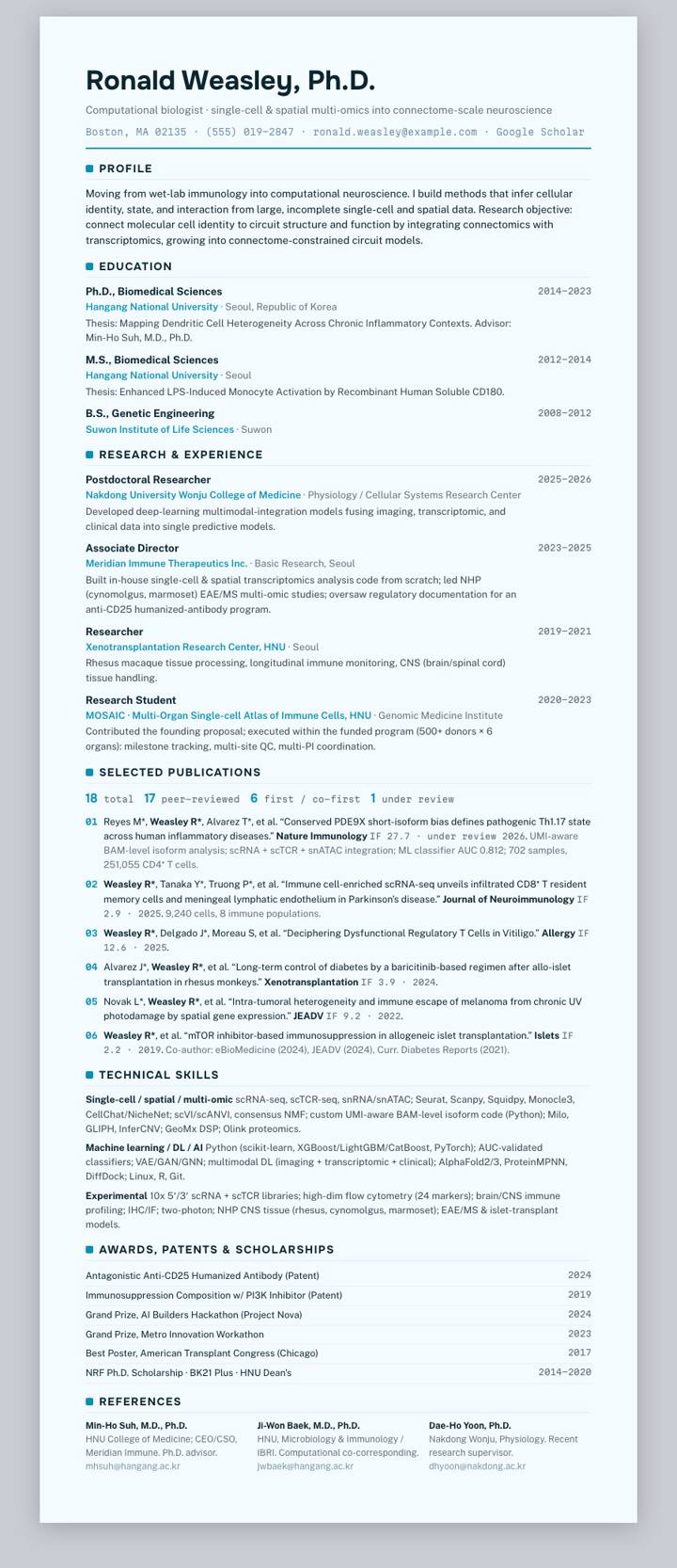 Cyan Frost Rule CV template preview