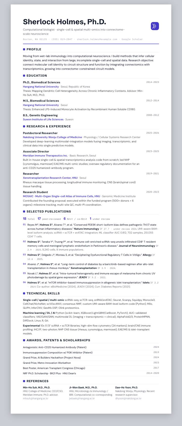 Indigo Flat Rule CV template preview