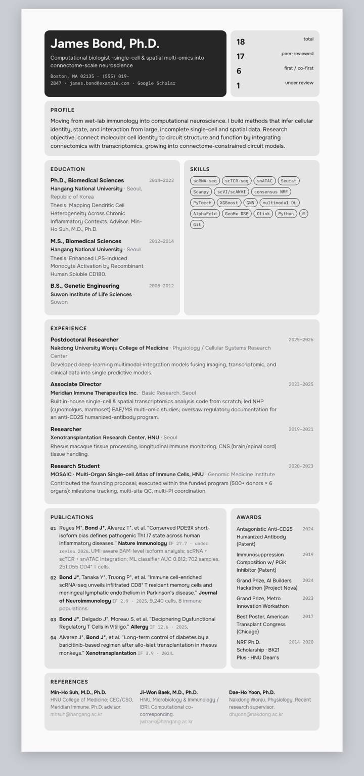 Neutral Pro Bento CV template preview