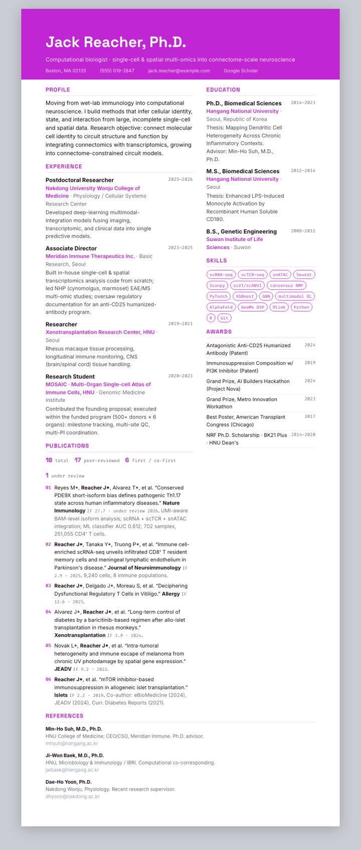 Fuchsia Flat Banner CV template preview