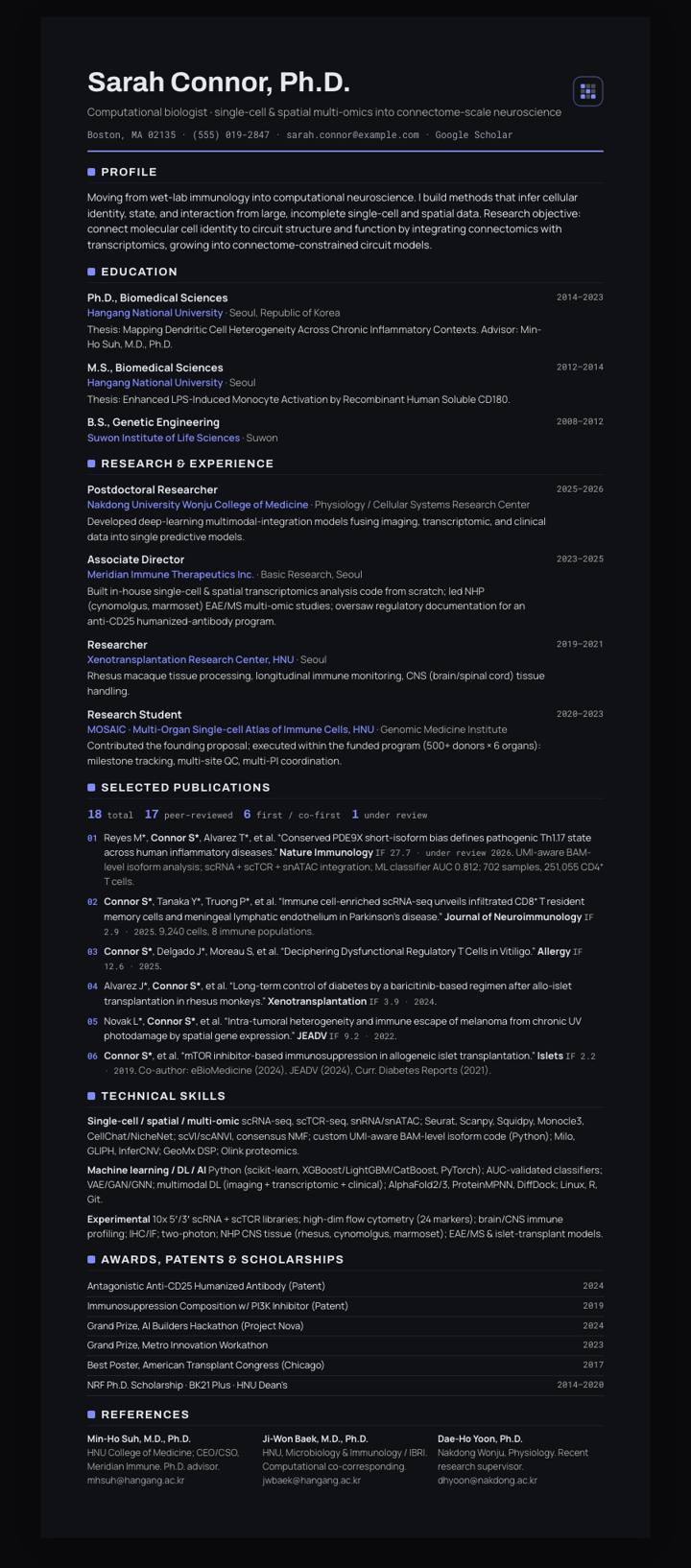 Onyx Soft Rule CV template preview