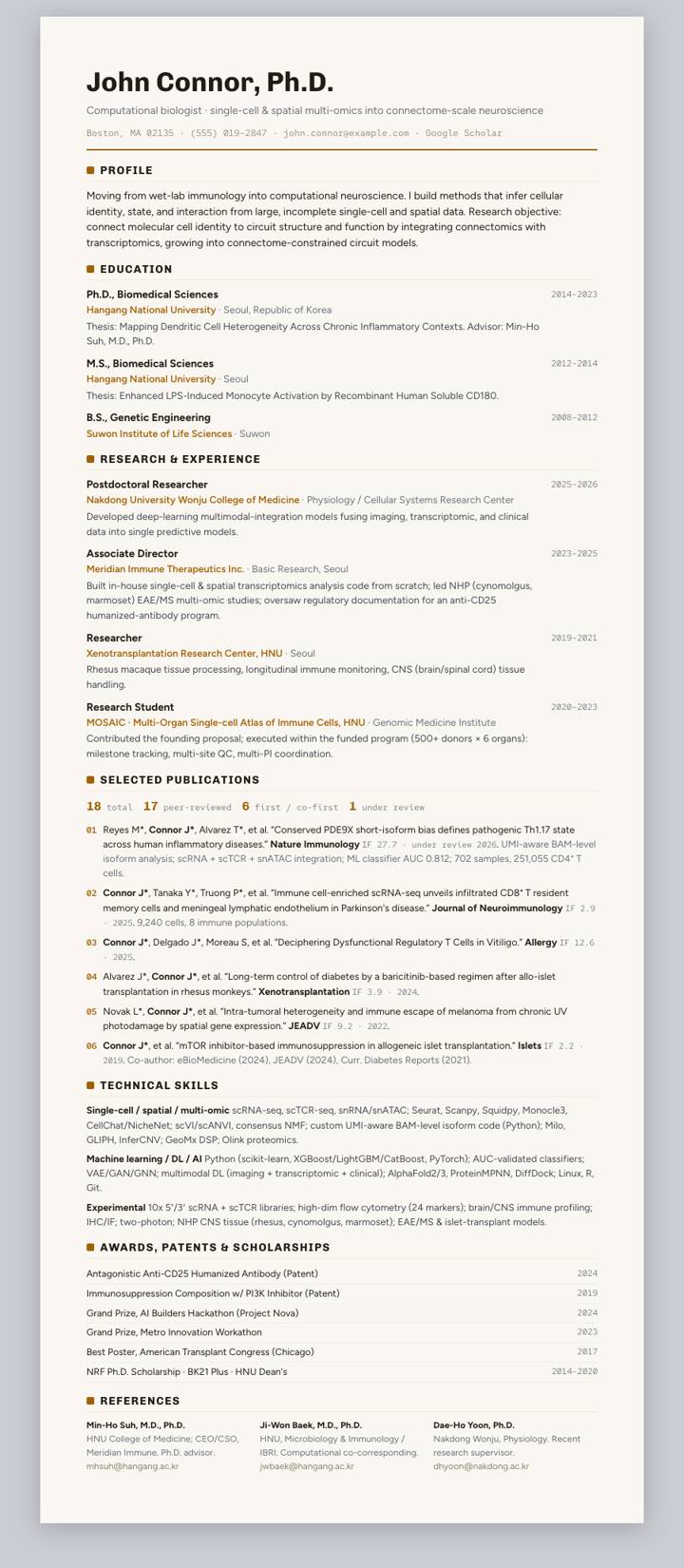Sand Clean Rule CV template preview