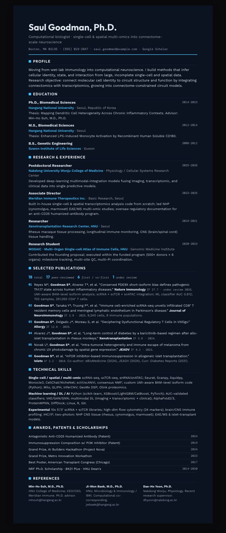 Sky Dark Rule CV template preview