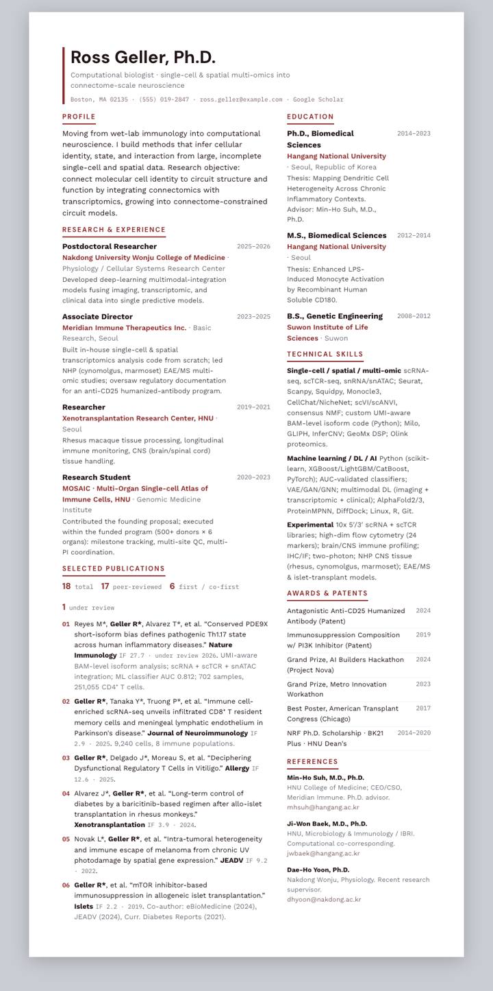 Ember Dense CV template preview