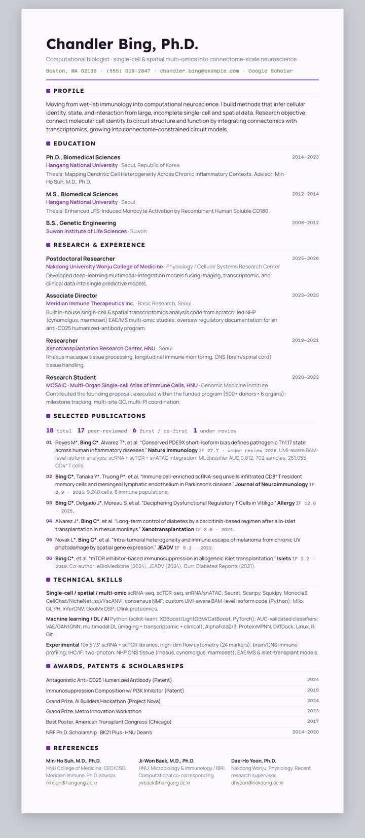Iris Rule CV template preview