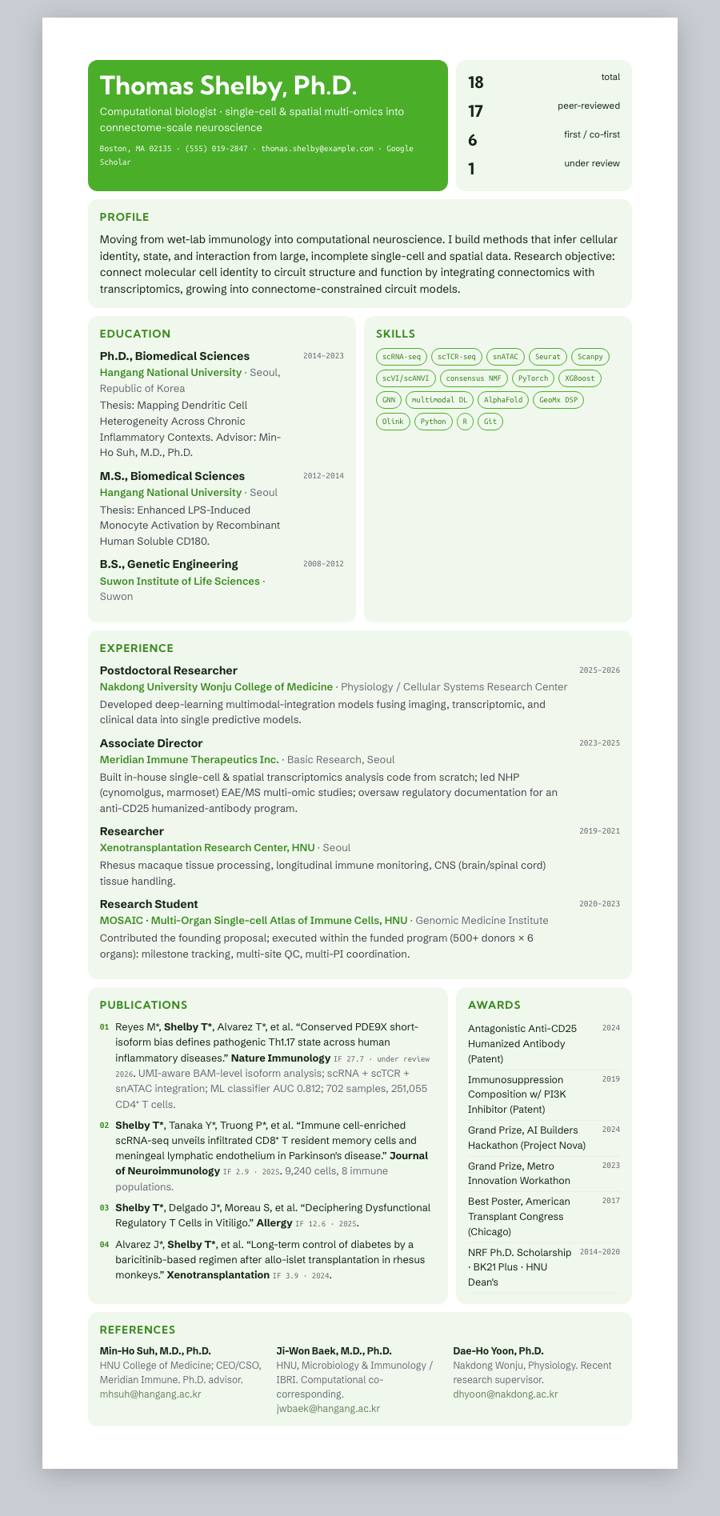 Pine Bento CV template preview