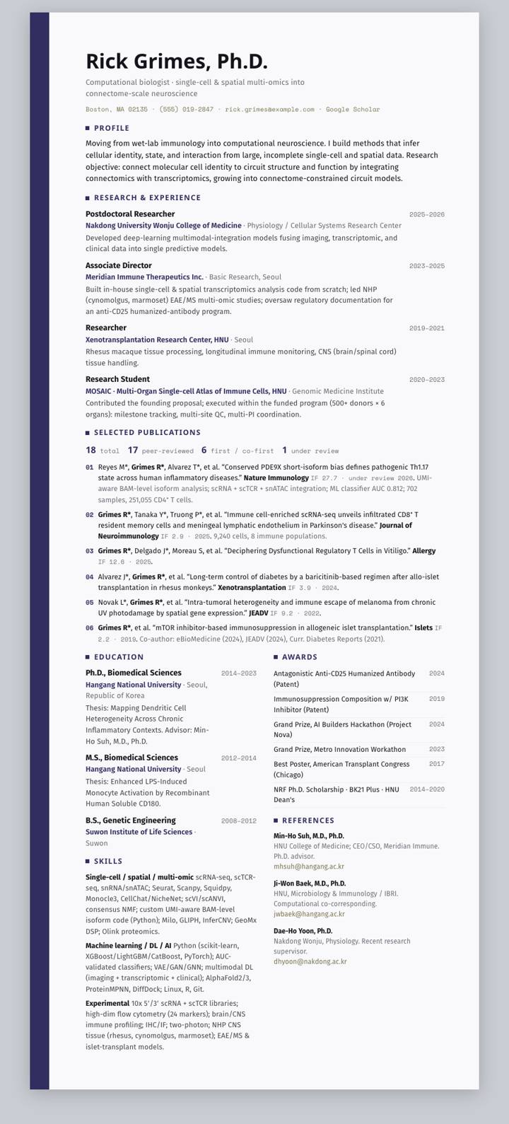 Indigo Stripe CV template preview