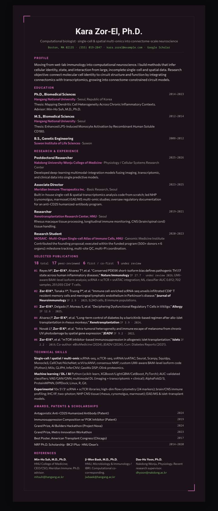 Magenta Frame CV template preview