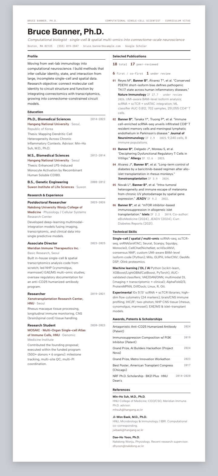Ember Broadsheet CV template preview