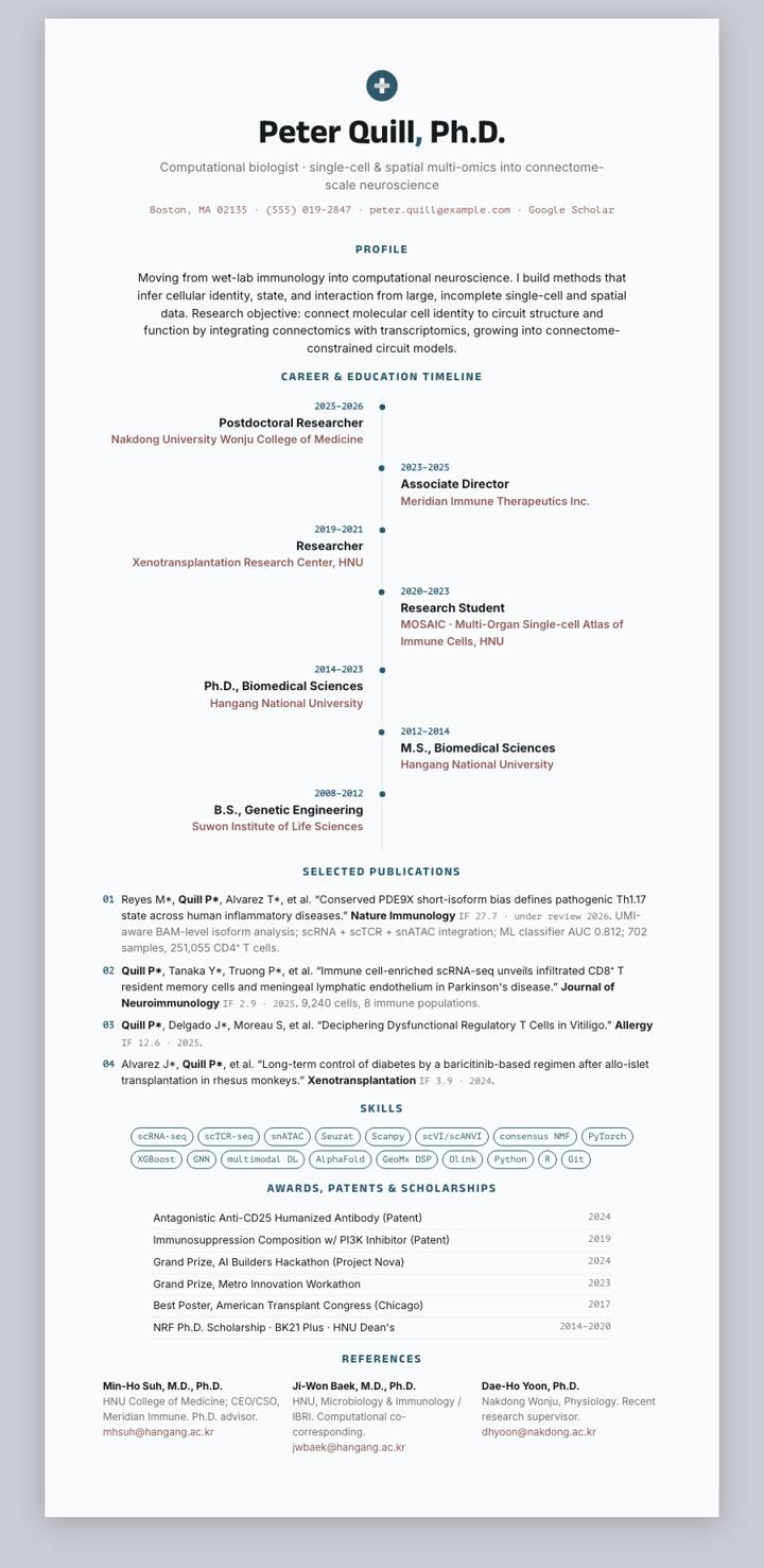 Azure Timeline CV template preview