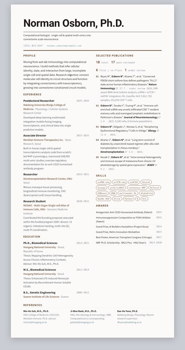 Amber Wide CV template preview