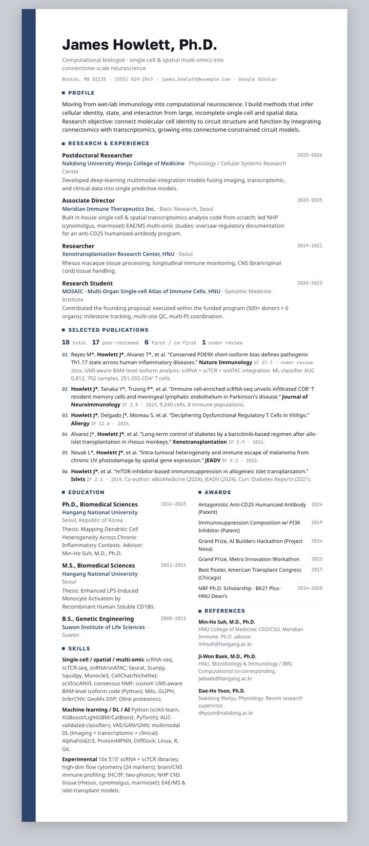 Cobalt Stripe CV template preview