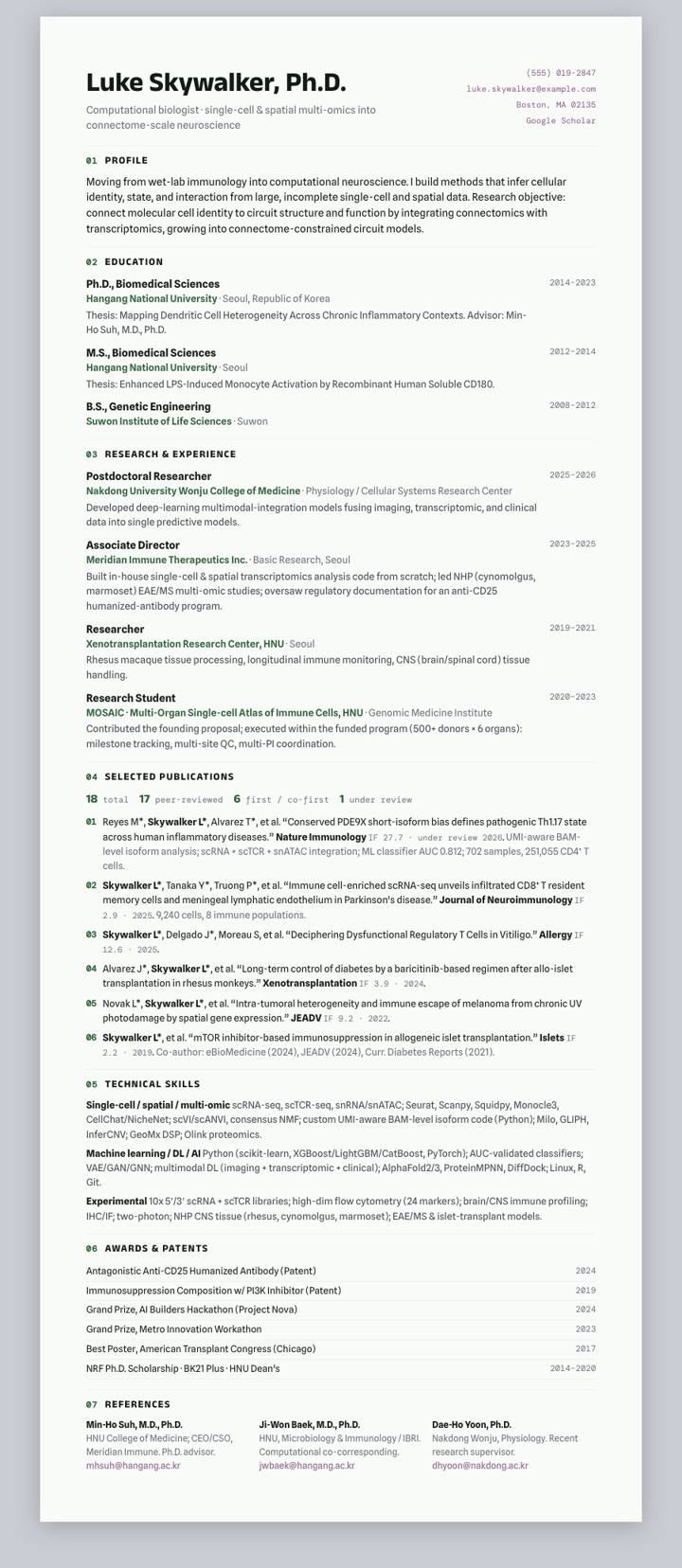 Pine Numbered CV template preview