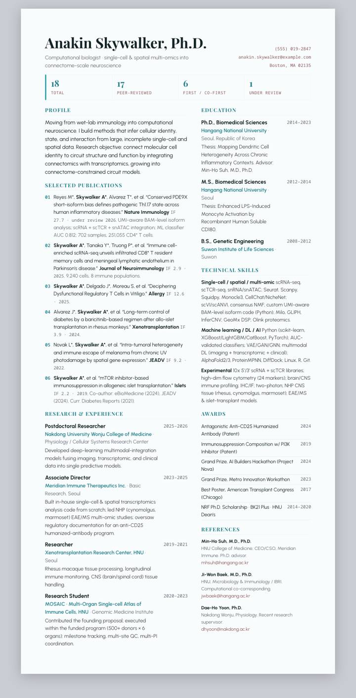 Cyan Strip CV template preview