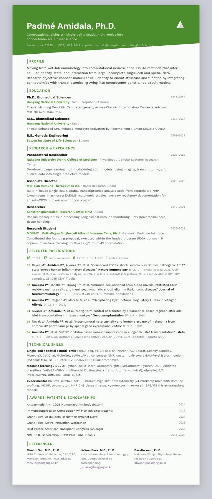 Pine Diagonal CV template preview