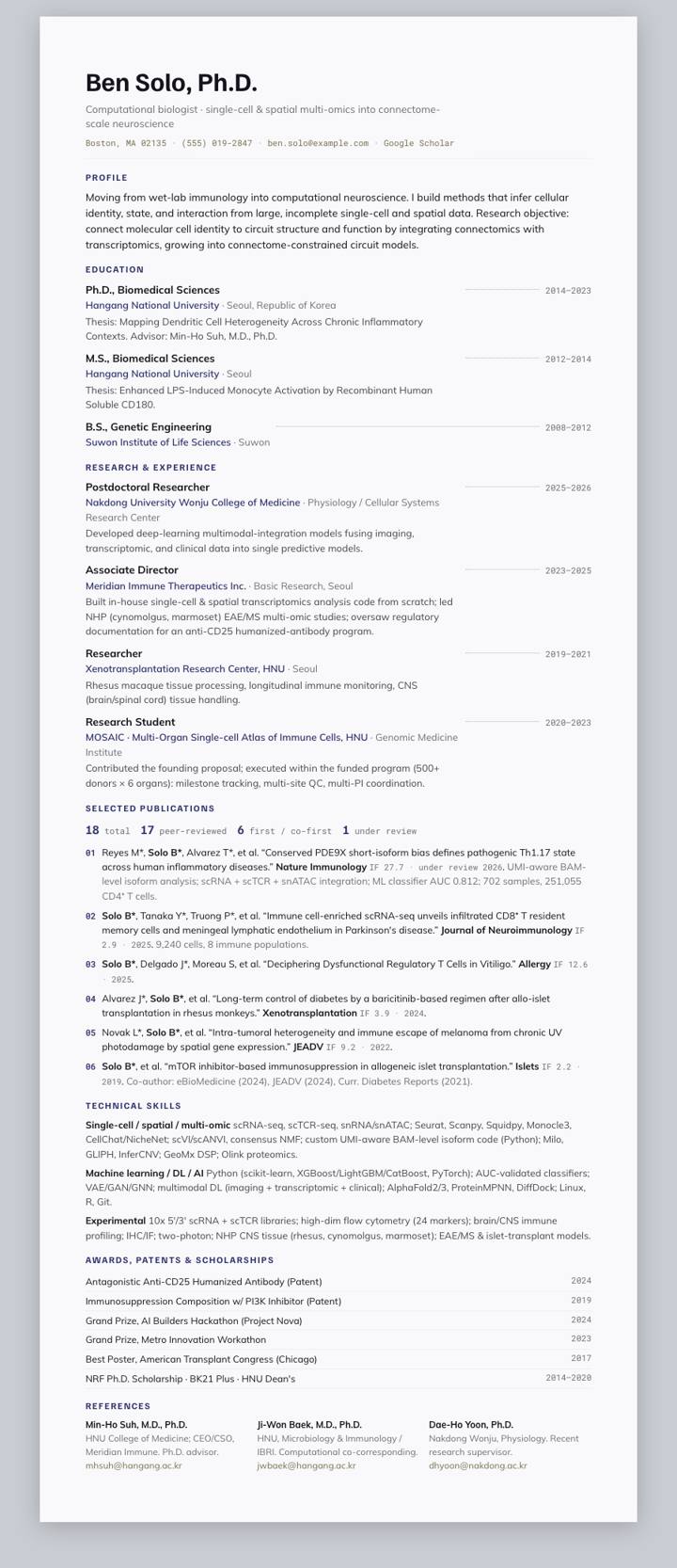 Indigo Leader CV template preview