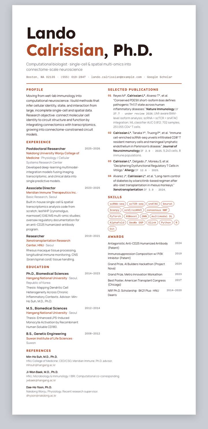 Amber Poster CV template preview