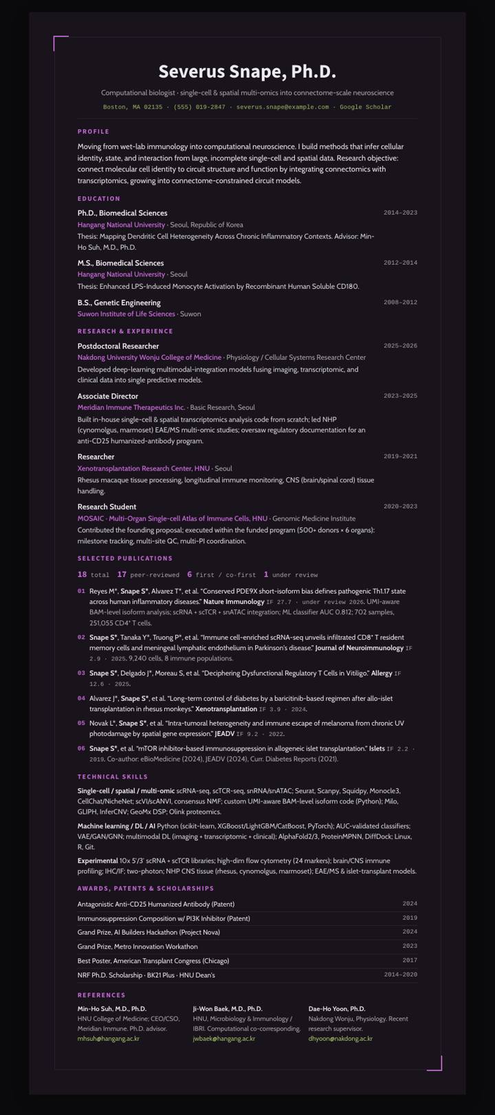 Plum Frame CV template preview