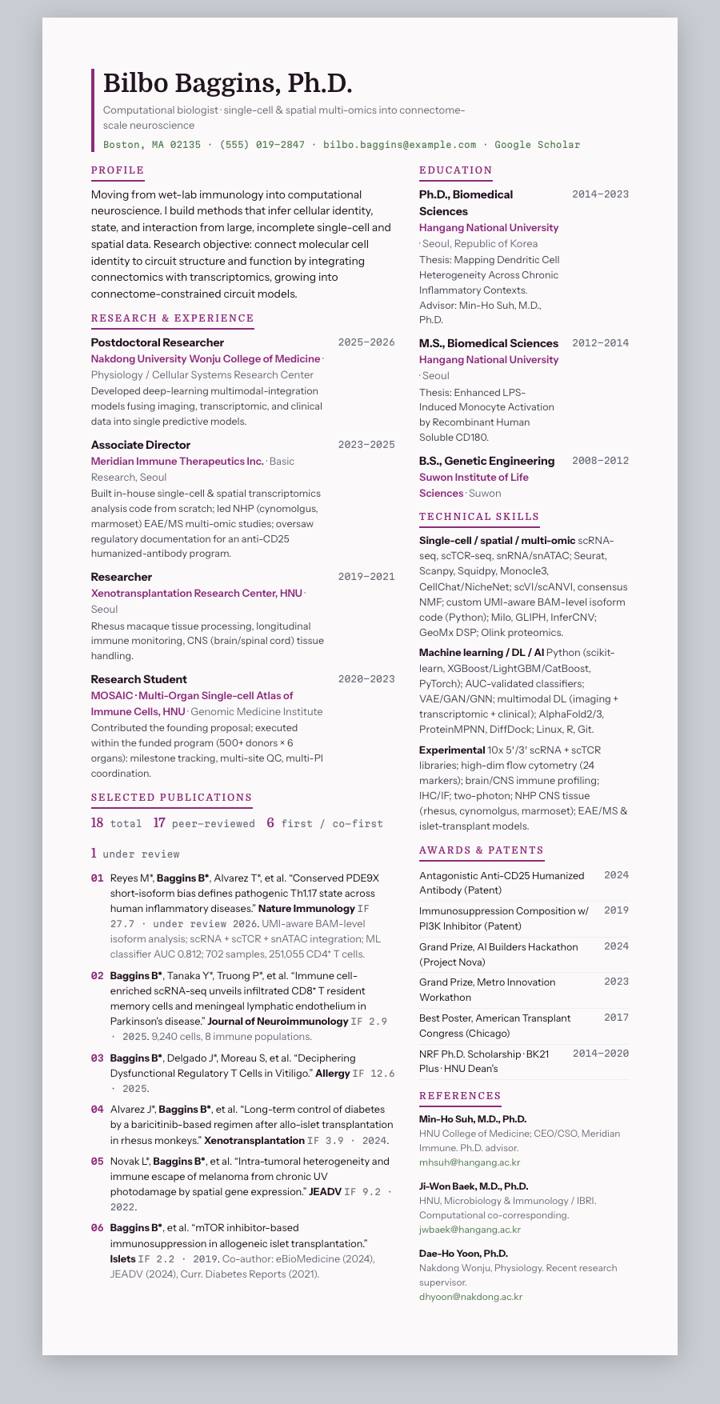 Magenta Dense CV template preview