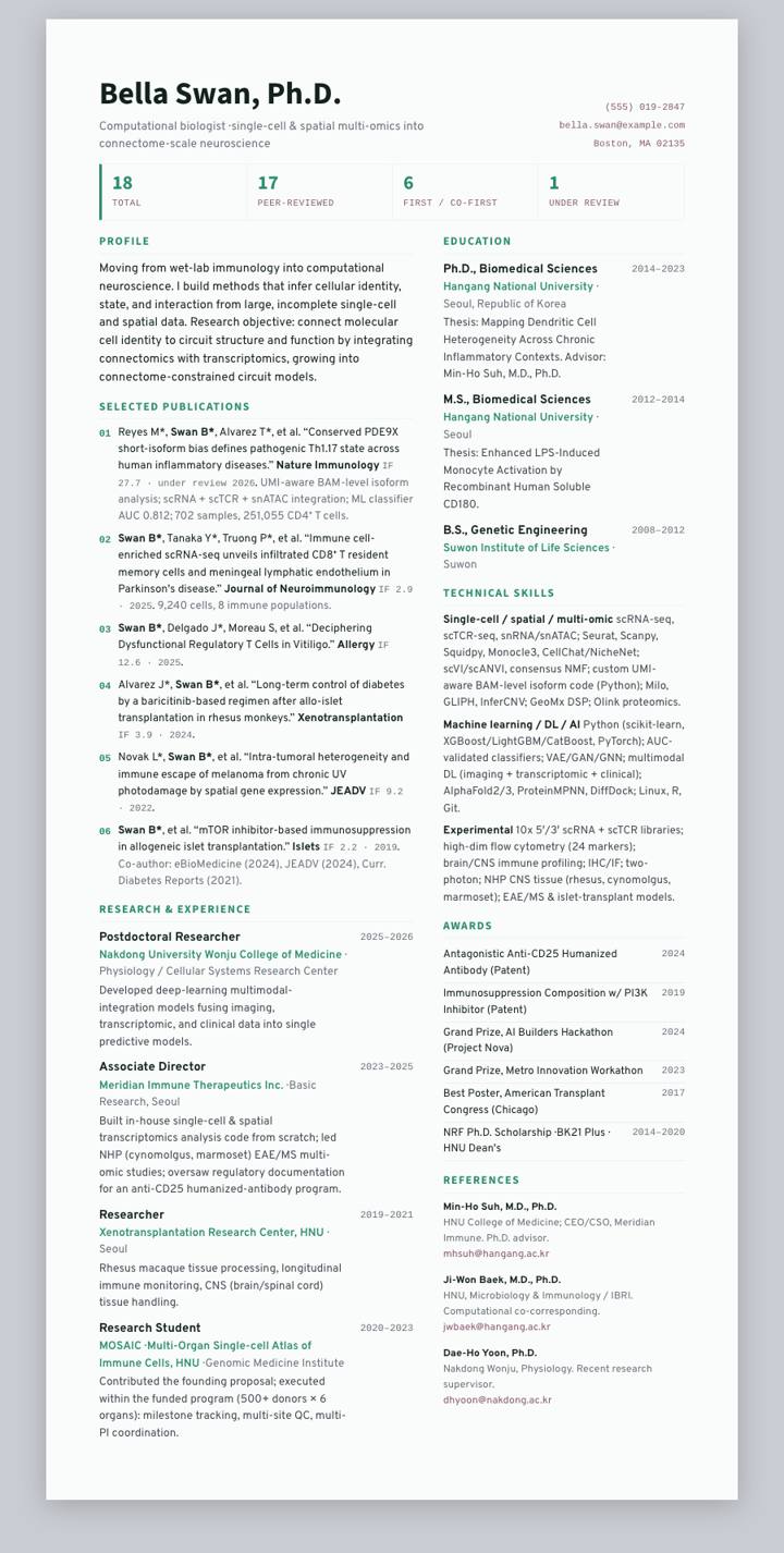 Teal Strip CV template preview