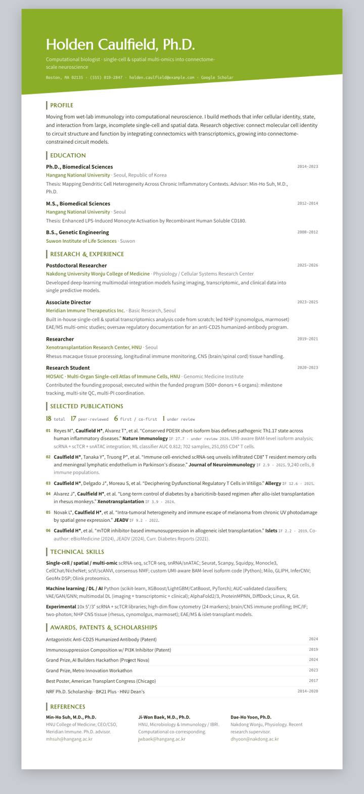 Fern Diagonal CV template preview