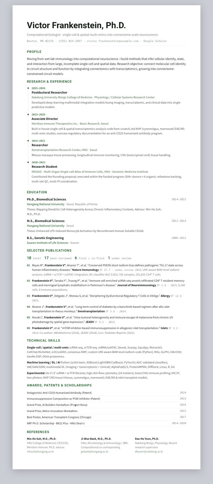 Pine Track CV template preview