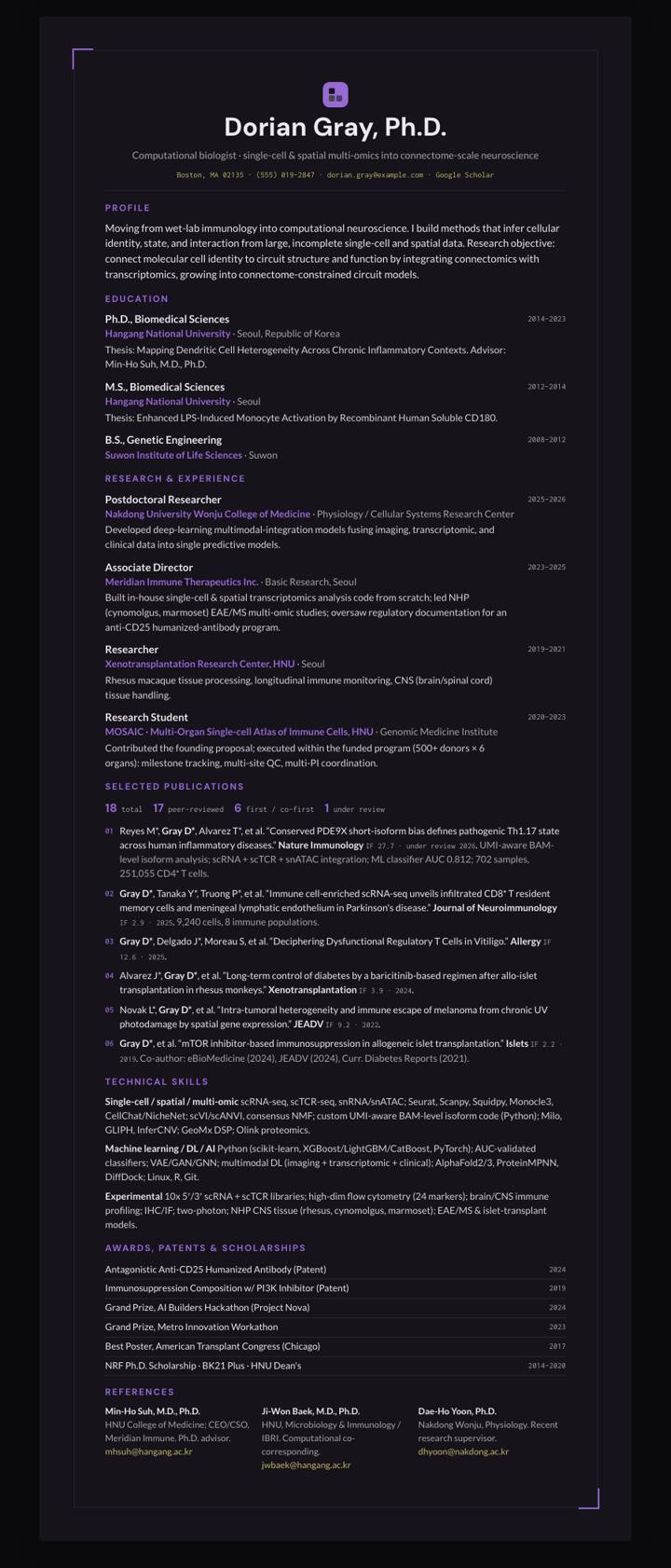 Iris Frame CV template preview