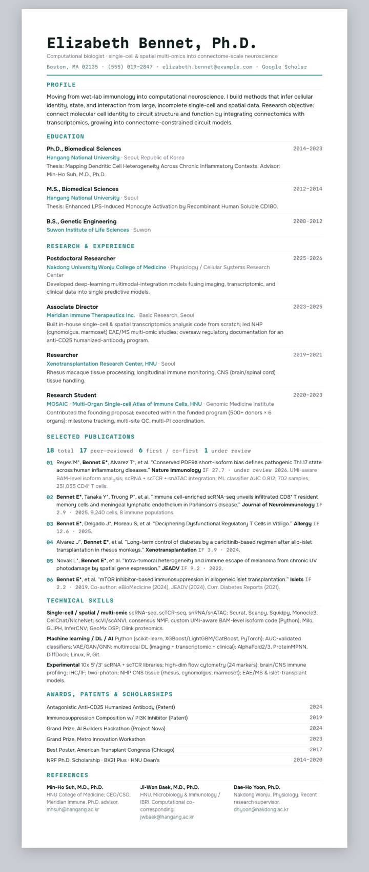 Cyan Ledger CV template preview