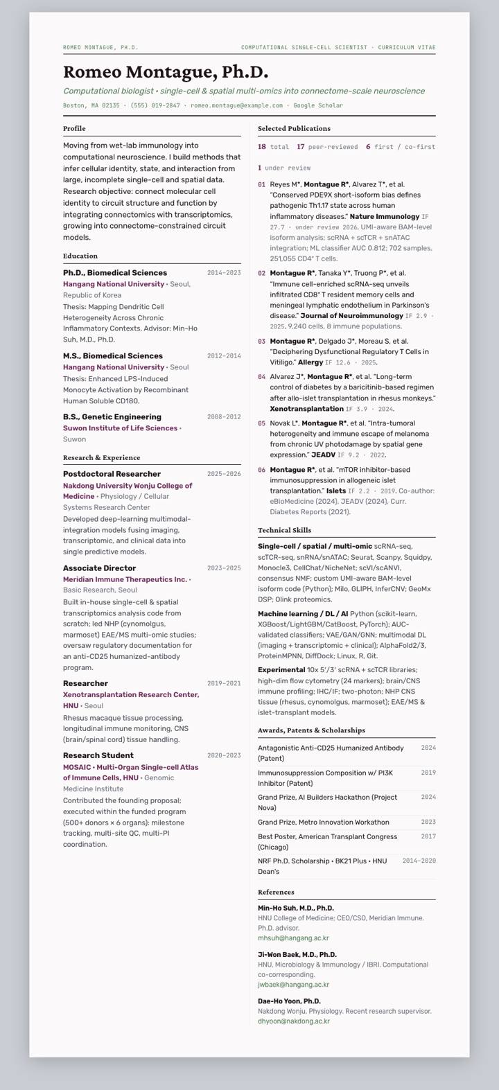 Magenta Broadsheet CV template preview