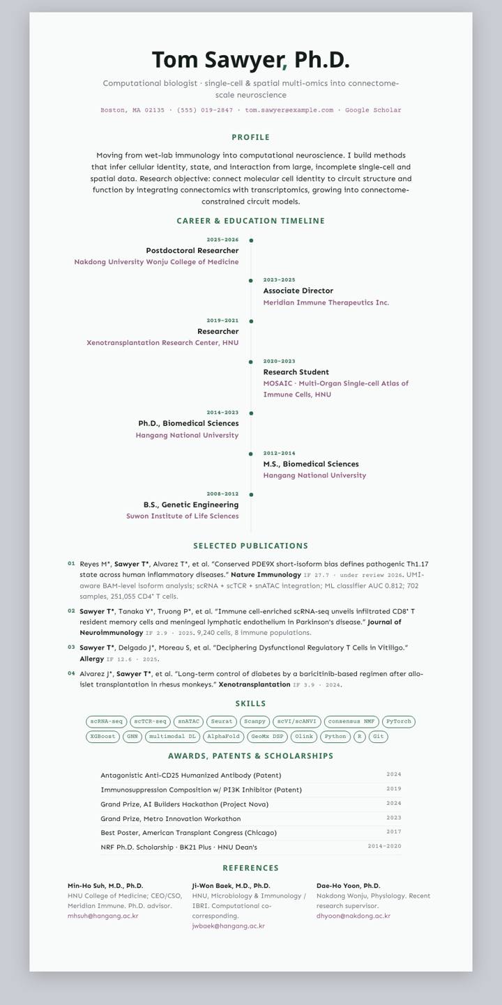Jade Timeline CV template preview