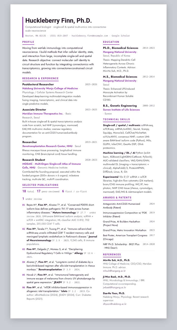 Plum Dense CV template preview