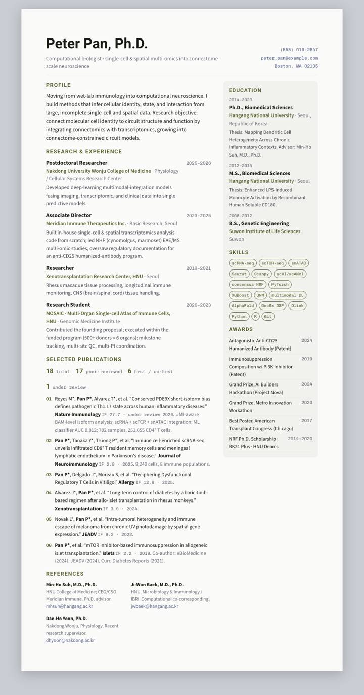 Olive Panel CV template preview