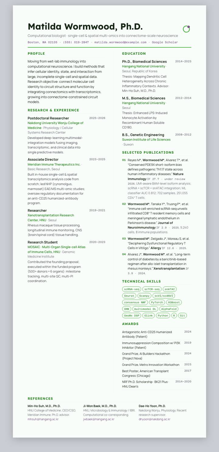 Pine Bicolumn CV template preview