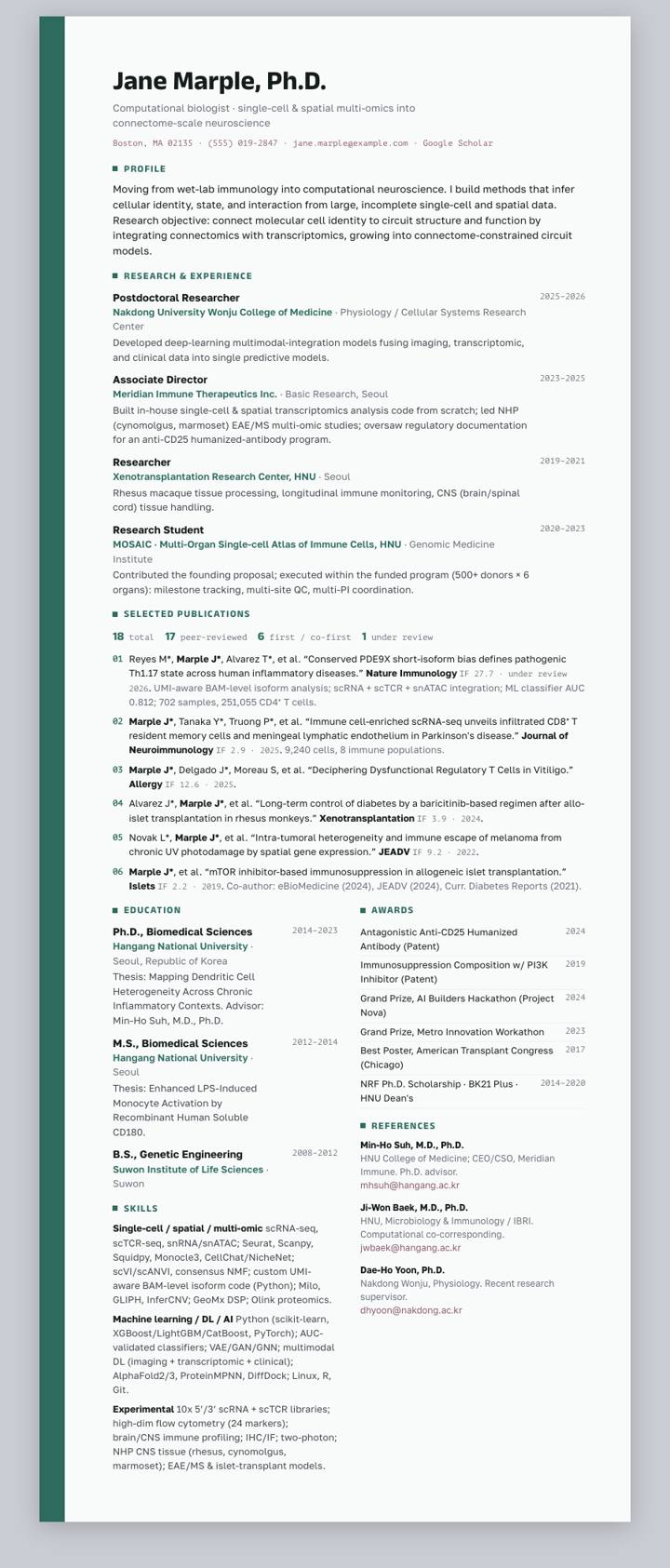 Teal Stripe CV template preview