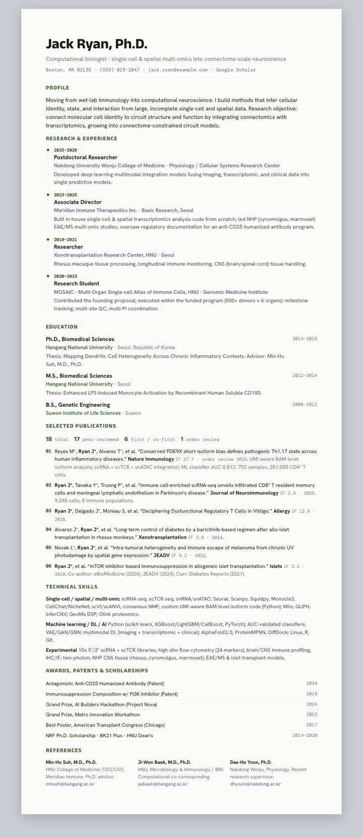 Pine Track CV template preview