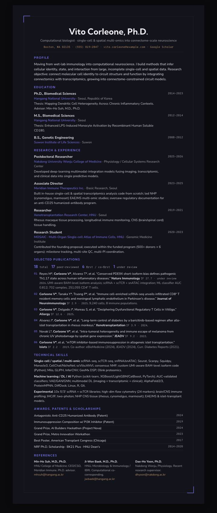 Indigo Frame CV template preview