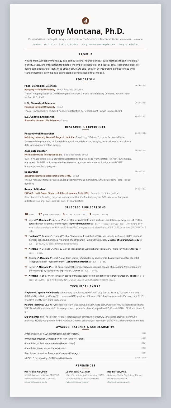 Amber Centered CV template preview