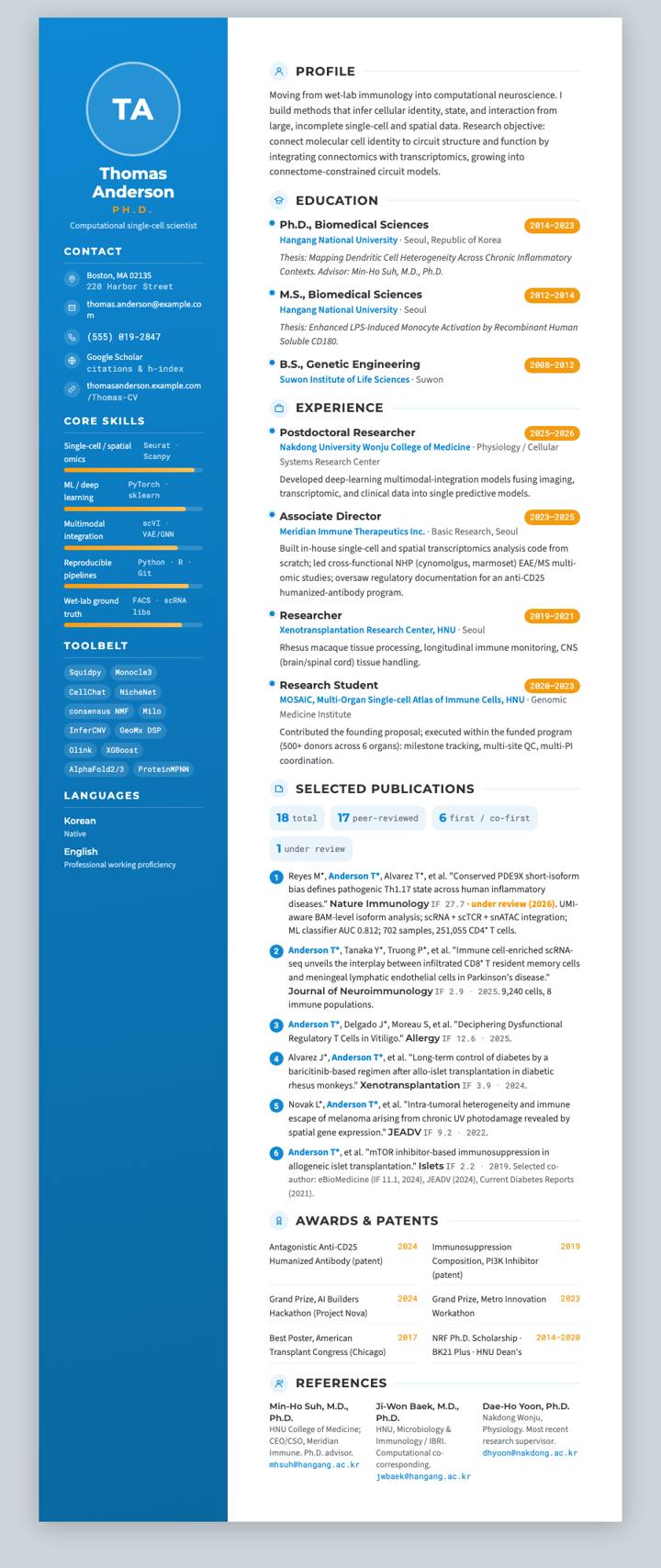 Twenty Seconds CV CV template preview