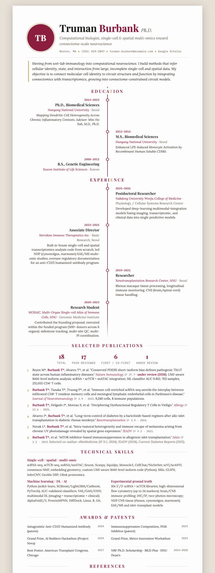 Friggeri CV template preview
