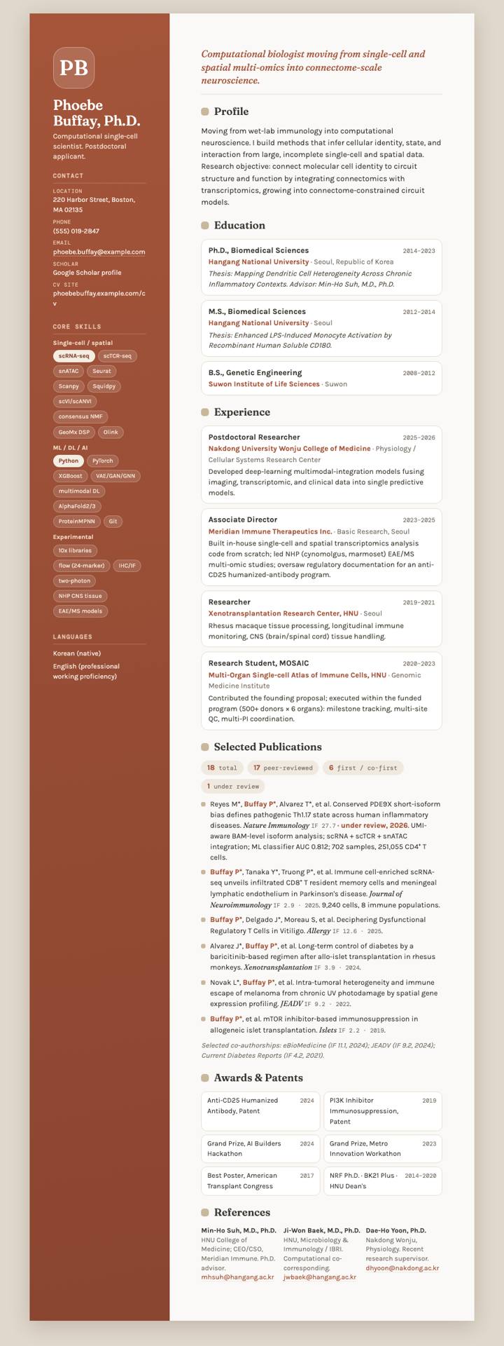 Plush CV CV template preview