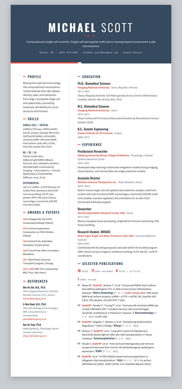 Medium Fancy CV CV template preview