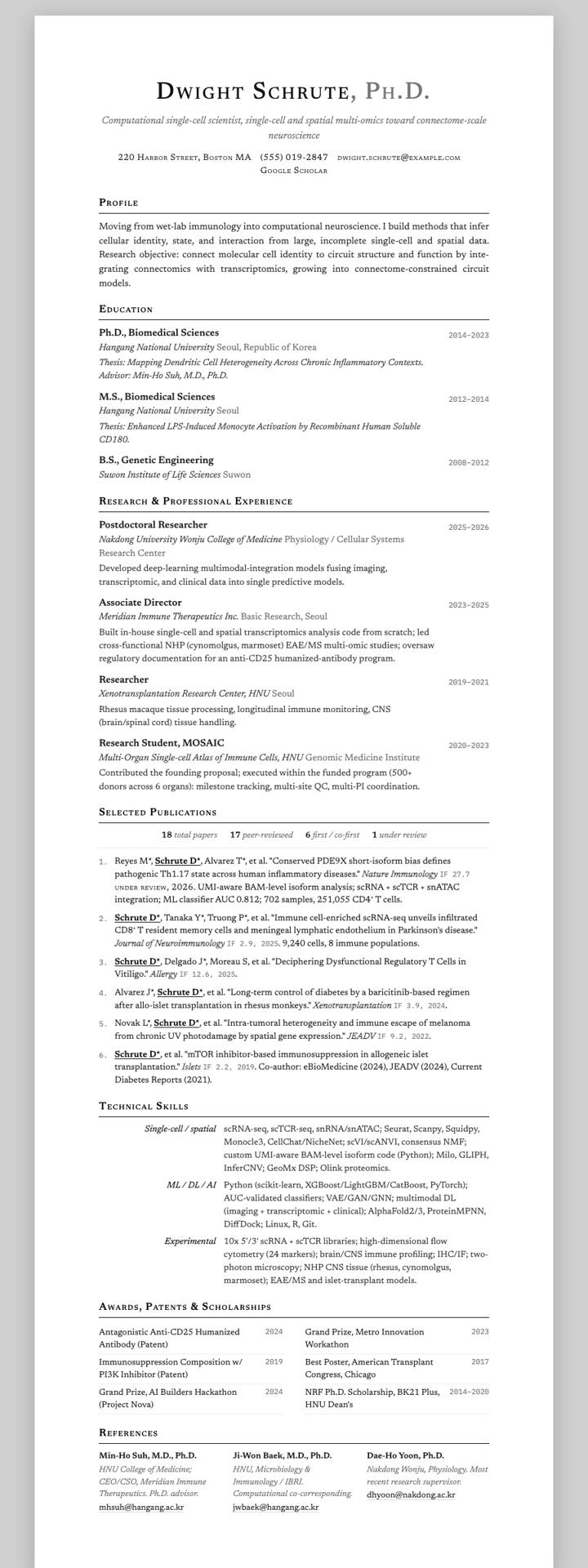 cv-tj CV template preview