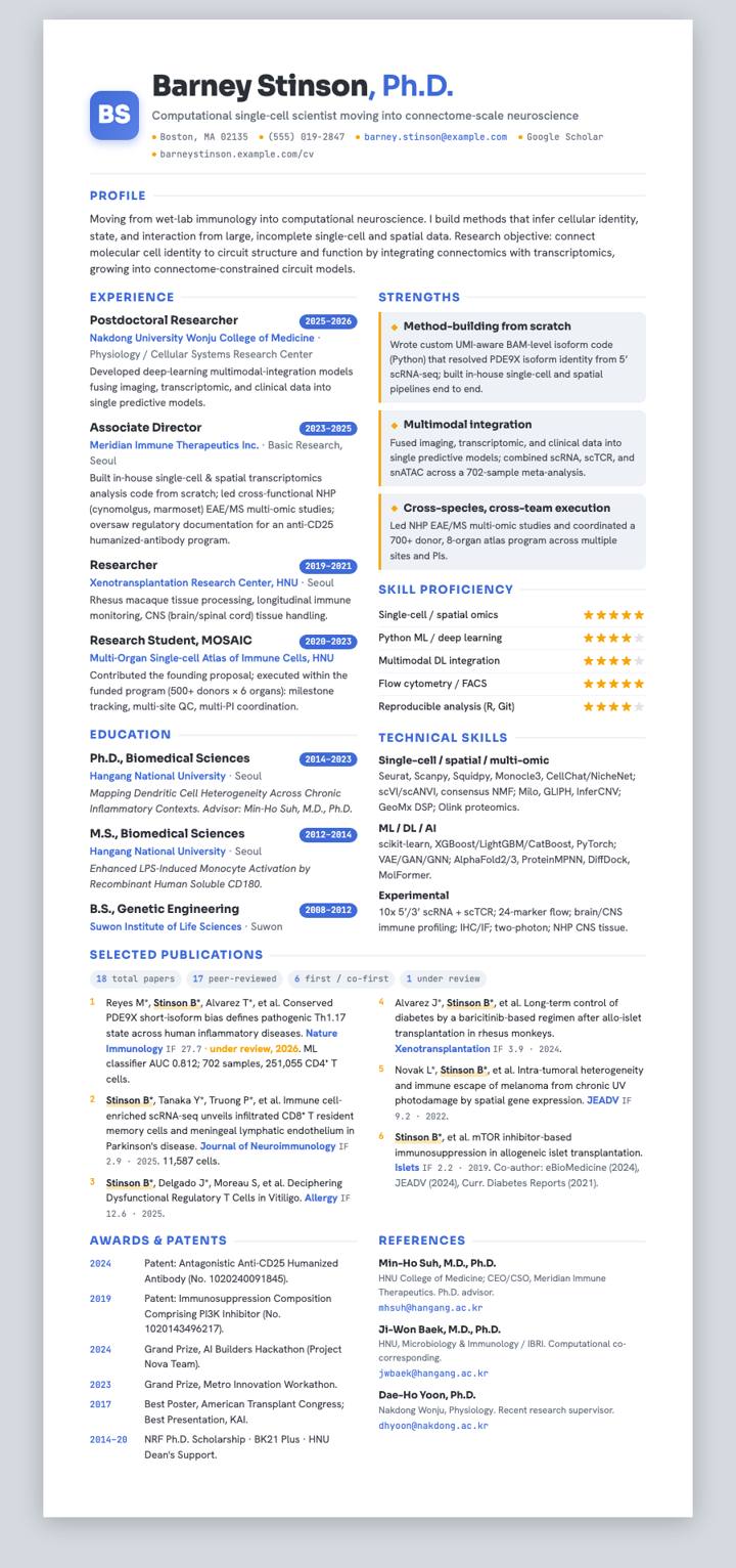 Amber Callout Columns CV template preview