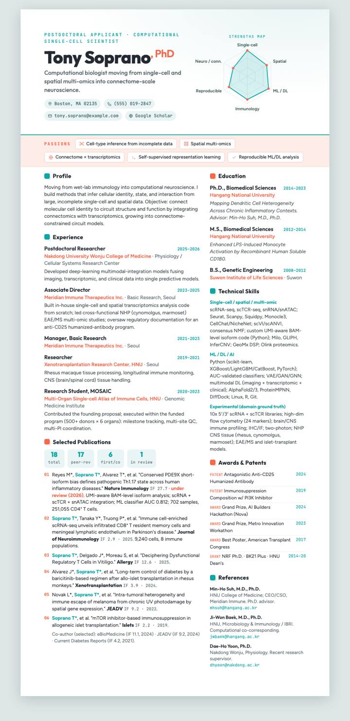 Radar Chart Hero CV template preview